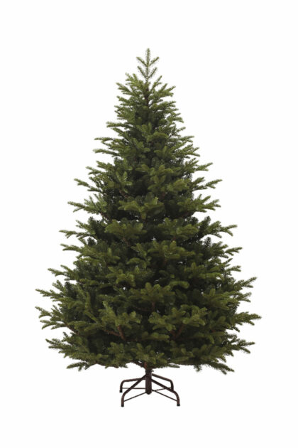 Athome Pavloudakis - Χριστουγεννιάτικο πράσινο δέντρο Mountain Pine Mixed (PE - PVC) 240 cm