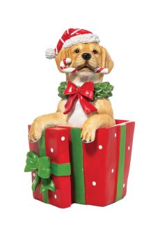 Athome Pavloudakis - Χριστουγεννιάτικο διακοσμητικό μπεζ σκύλος σε κουτί 23x19